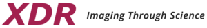 XDR